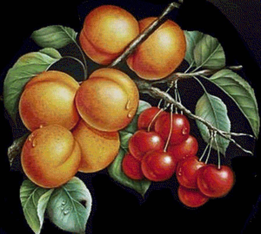 натюрморт - предпросмотр