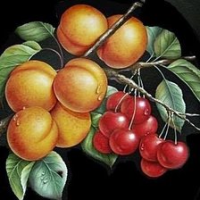 Схема вышивки «натюрморт»