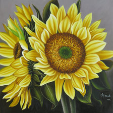 Подсолнухи