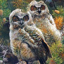 Схема вышивки «любопытная парочка»