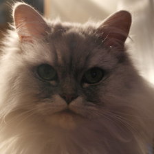 Схема вышивки «Жуля»