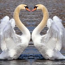 Схема вышивки «№1178273»