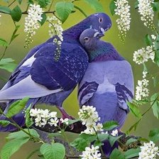 Схема вышивки «№1178496»