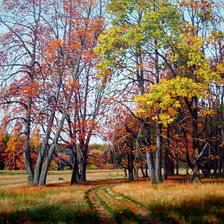 Схема вышивки «осень»