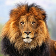 Схема вышивки «серия - животные»