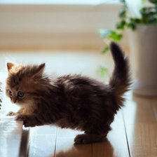 Схема вышивки «Маленький пианист»