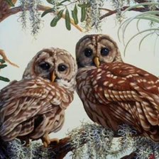 Схема вышивки «№1178725»