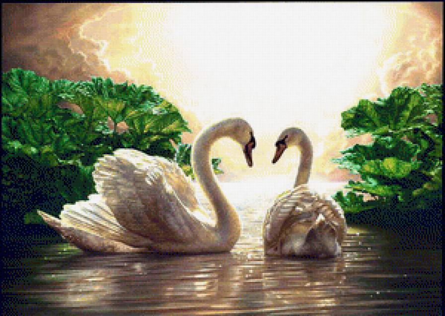 лебеди - лебеди, птицы - предпросмотр