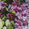 Предпросмотр схемы вышивки «сиреневое чудо» (№1179015)