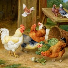 Схема вышивки «Птичий двор»