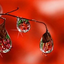 Схема вышивки «капля»