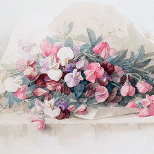 Душистый горошек