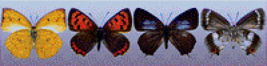 Бабочки 2 - предпросмотр