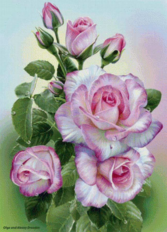 Розы - вышивка крестом - предпросмотр