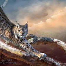 Схема вышивки «рысь»