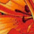 Предпросмотр схемы вышивки «огненный цветок» (№1180043)