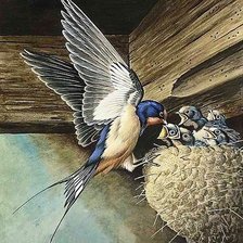 Схема вышивки «"Ласточка с весною в сени к нам летит..."»