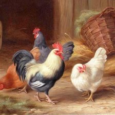 Схема вышивки «Птичий мир»