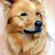 Схема вышивки «№1180225»