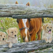 Схема вышивки «любопытство»