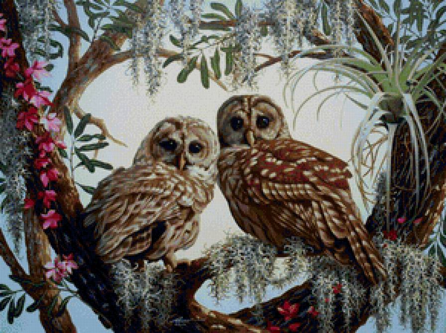 Совушки - птицы, совы, живопись, лето, животные, природа, пейзаж, сладкая парочка - предпросмотр