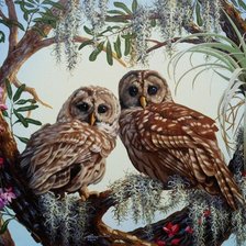 Схема вышивки «Совушки»