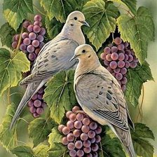 Схема вышивки «Пара голубей»