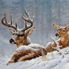Схема вышивки «Олени в зимнем лесу»