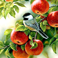 Схема вышивки «Синица и яблоки»