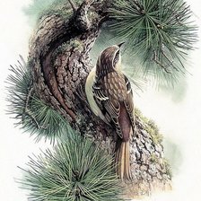 Схема вышивки «птичка»