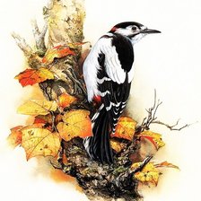 Схема вышивки «дятел»