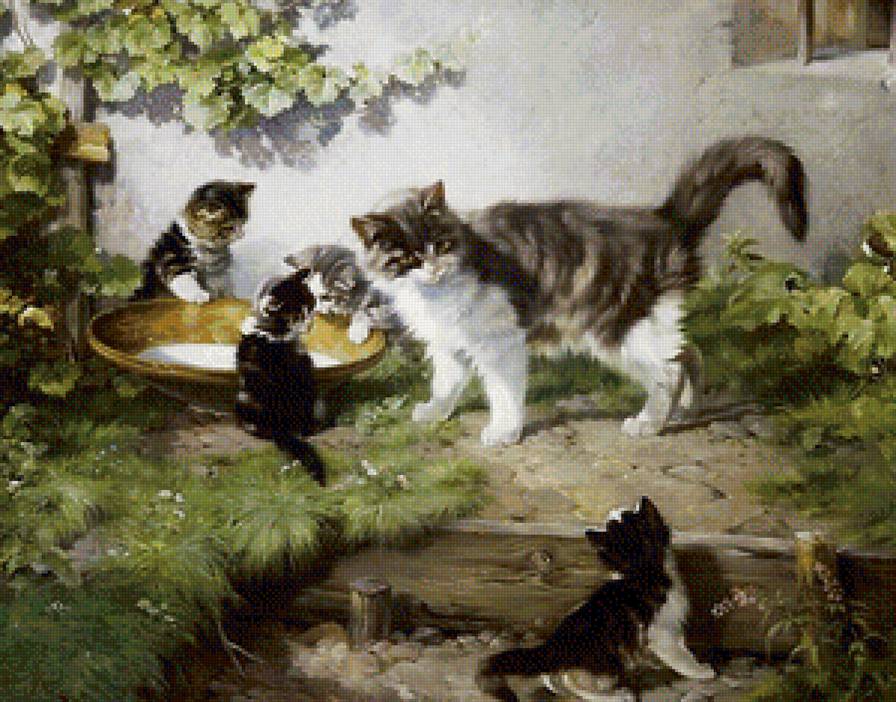 веселое семейство - животные, кошки, природа - предпросмотр