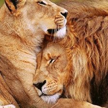 Схема вышивки «№1181037»