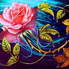 Схема вышивки «роза»