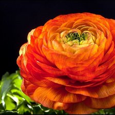 Схема вышивки «№1181066»