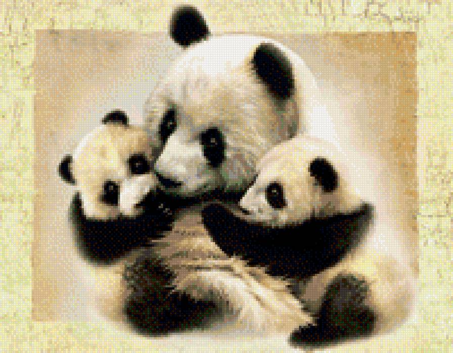 панда - предпросмотр