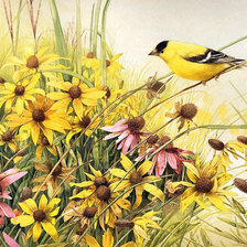 Схема вышивки «ПОЛЕВЫЕ ЦВЕТЫ»