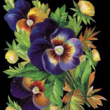 Схема вышивки «анютины глазки»