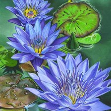 Схема вышивки «синие лилии»