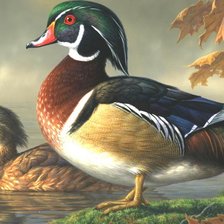 Схема вышивки «2 утки»