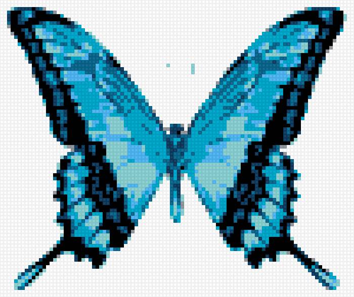 голубая бабочка - предпросмотр