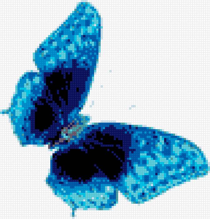 бабочка на белом - предпросмотр