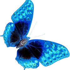 Схема вышивки «бабочка на белом»