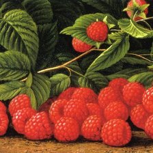 Схема вышивки «№1181477»