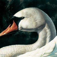 Схема вышивки «№1181594»