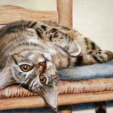 Схема вышивки «котенок»