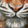 Предпросмотр схемы вышивки «тигр» (№1182154)