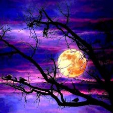 Схема вышивки «№1182250»