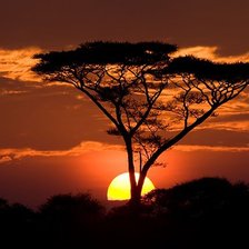 Схема вышивки «№1182252»