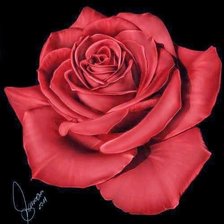 Схема вышивки «№1182280»